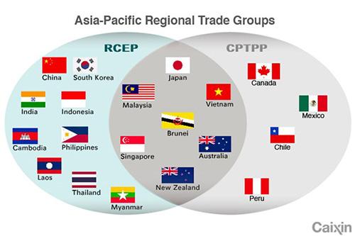 CPTPP
