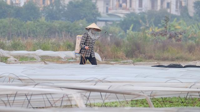 Vì sao Hà Nội bị sương mù bao phủ, bụi mịn dày đặc - Ảnh 9. Vì sao Hà Nội bị sương mù bao phủ, bụi mịn dày đặc - Ảnh 9.