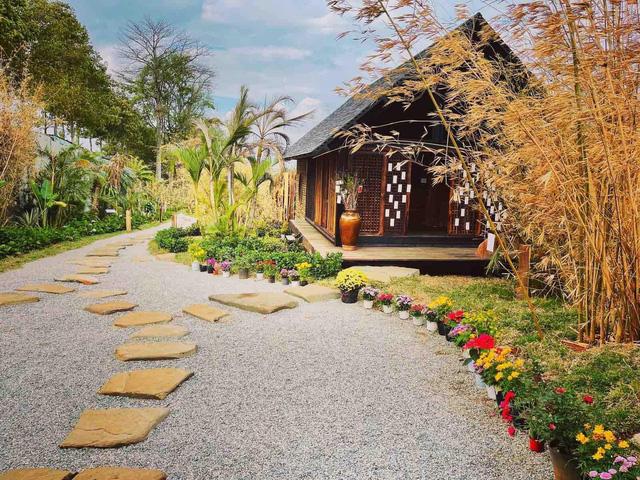 Vườn Zen gần 1ha trong tổ hợp BĐS của ông Đặng Lê Nguyên Vũ vừa khai trương: Xây theo kiến trúc chữa lành Thân – Tâm – Trí, thu vé vào cổng bằng… cây - Ảnh 6. Vườn Zen gần 1ha trong tổ hợp BĐS của ông Đặng Lê Nguyên Vũ vừa khai trương: Xây theo kiến trúc chữa lành Thân – Tâm – Trí, thu vé vào cổng bằng… cây - Ảnh 6.