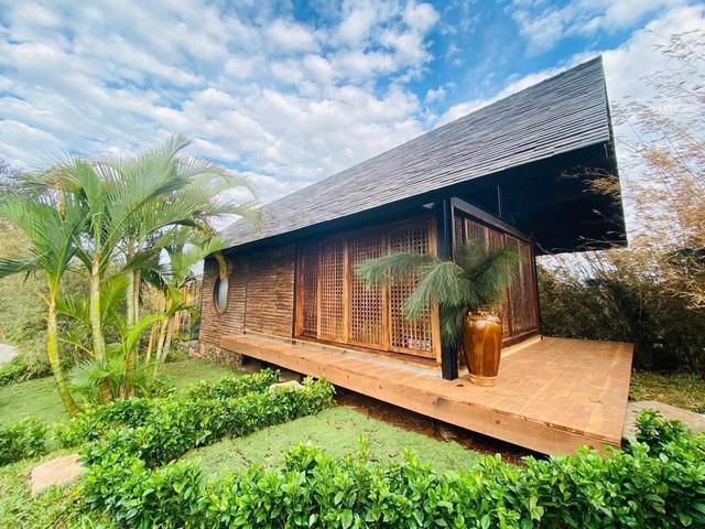 Vườn Zen gần 1ha trong tổ hợp BĐS của ông Đặng Lê Nguyên Vũ vừa khai trương: Xây theo kiến trúc chữa lành Thân – Tâm – Trí, thu vé vào cổng bằng… cây - Ảnh 3. Vườn Zen gần 1ha trong tổ hợp BĐS của ông Đặng Lê Nguyên Vũ vừa khai trương: Xây theo kiến trúc chữa lành Thân – Tâm – Trí, thu vé vào cổng bằng… cây - Ảnh 3.