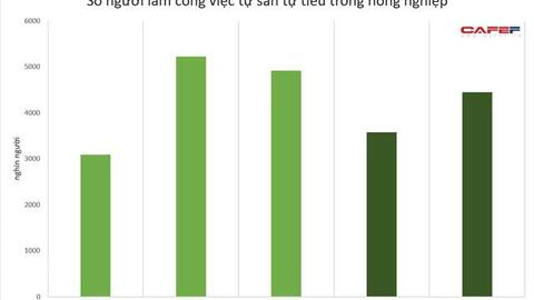 Một chỉ số thống kê mới năm 2021 đang trở nên đáng lo ngại?