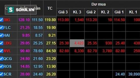 "Cú đấm kép" Trịnh Văn Quyết - Tân Hoàng Minh: Cổ phiếu bất động sản "nằm sàn" la liệt