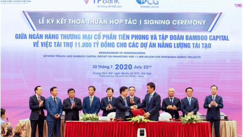 Những nhà băng đang hô "khắc nhập" cho "cây tre trăm đốt" Bamboo Capital lớn nhanh như thổi là ai?