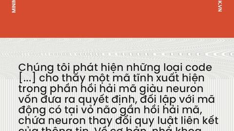 "Não bộ là cỗ máy tính lượng tử tự tưởng tượng ra ảo giác về toán học"