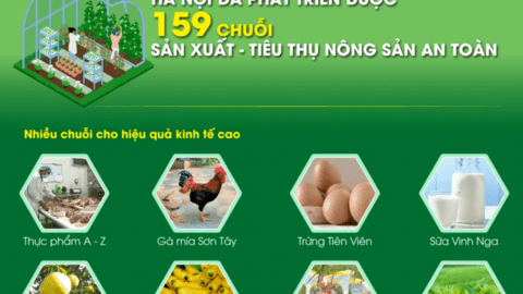 Hà Nội đã phát triển được 159 chuỗi sản xuất - tiêu thụ nông sản an toàn