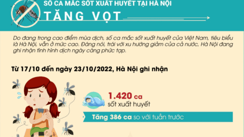 Số ca mắc sốt xuất huyết tại Hà Nội tăng vọt