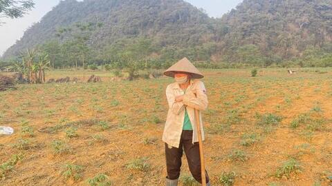 El Nino tác động đến Việt Nam, cảnh báo hạn hán, thiếu nước kéo dài đến 2025