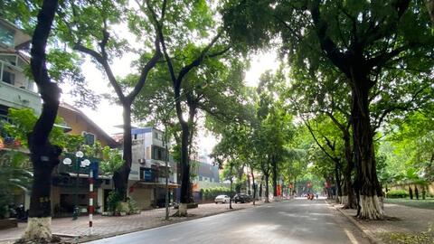 Dự báo thời tiết ngày 8/8/2023: Cảnh báo một số nơi mưa to