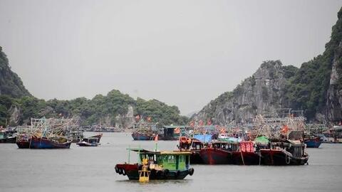 Quảng Ninh lên phương án ứng phó bão số 5