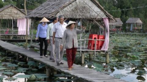 Trồng sen kết hợp làm du lịch cho hiệu quả kinh tế cao