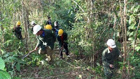 Lai Châu: Tăng cường công tác phòng cháy, chữa cháy rừng mùa khô