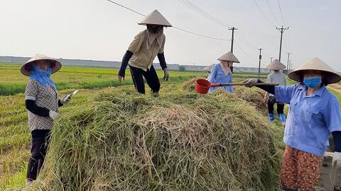Thúc đẩy kinh tế nông nghiệp xanh