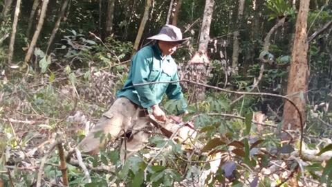 Kon Tum: Khởi tố vụ hủy hoại rừng tại huyện Kon Plông