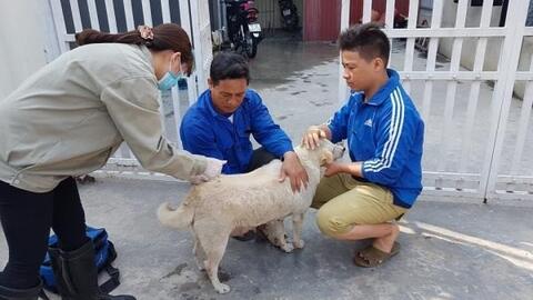 Tăng cường phòng, chống bệnh lây truyền từ động vật sang người