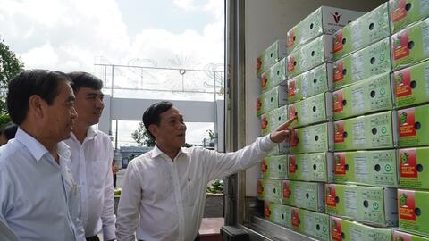 Đồng bằng sông Cửu Long: Triển vọng cho trái xoài