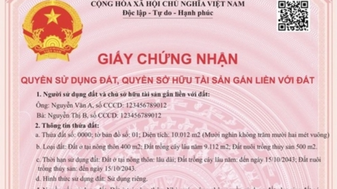 Từ 1/8, có 9 trường hợp được cấp đổi sổ đỏ