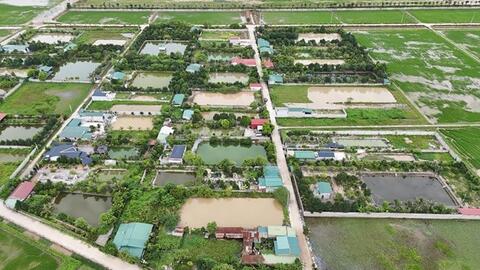 Bất thường tổ kiểm tra vụ biệt thự "mọc lên" ở khu chăn nuôi huyện Phú Xuyên