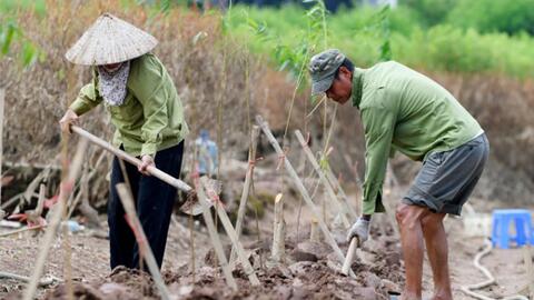 Thúc đẩy sản xuất nông sản dịp cuối năm