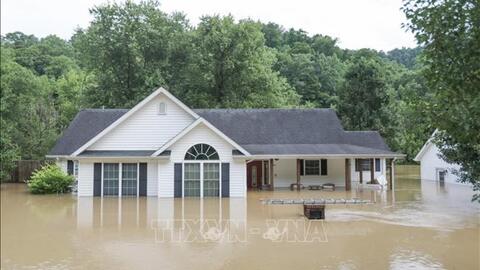 Mỹ: Số người chết vì lũ lụt ở bang Kentucky gia tăng