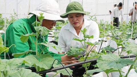 Phát triển đội ngũ khuyến nông chuyên sâu, đẩy mạnh ứng dụng công nghệ số