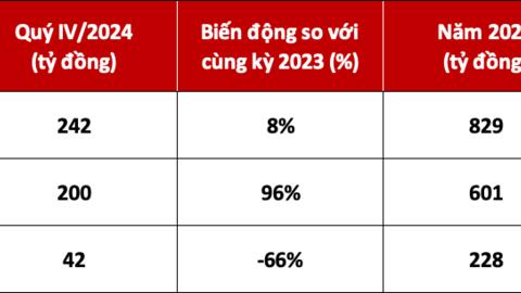 DNSE đạt doanh thu 829 tỷ đồng năm 2024, tăng 12% so với 2023