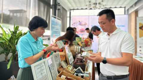 Thị trường nội địa chưa được khai thác đúng quy mô