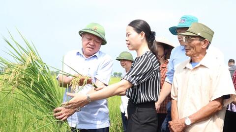 Hướng tới nền nông nghiệp xanh, tuần hoàn, trách nhiệm với môi trường