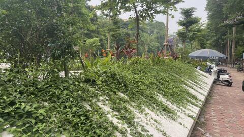 Sắc thái độc đáo của vườn hoa Vạn Xuân (Ba Đình)