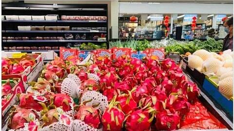 Thanh long Việt xuất khẩu sang Úc giá 200.000 đồng/kg