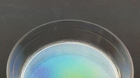 MIT chế tạo thành công vật chất rắn chắc nguồn gốc thực vật: thay được nhựa, dùng trong in 3D hay đúc khuôn đều được