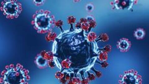 Biến thể Omicron 'tàng hình' đang chiếm ưu thế tại TP Hồ Chí Minh