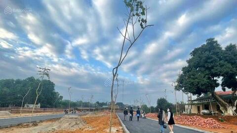 Dừng tách thửa chặn sốt đất: Chỉ là giải pháp tạm thời