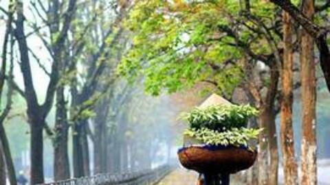 VN-Index tháng 4: Mùa đại hội cổ đông về với nhiều nhân tố bất ngờ, dòng tiền sẽ có sự dịch chuyển lớn