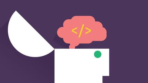 "Não bộ là cỗ máy tính lượng tử tự tưởng tượng ra ảo giác về toán học"