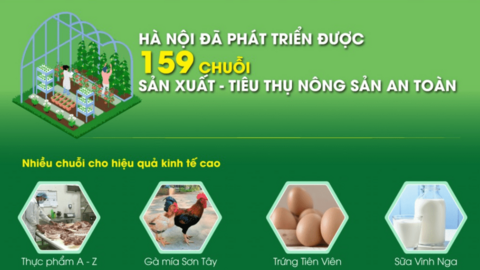 Hà Nội đã phát triển được 159 chuỗi sản xuất - tiêu thụ nông sản an toàn