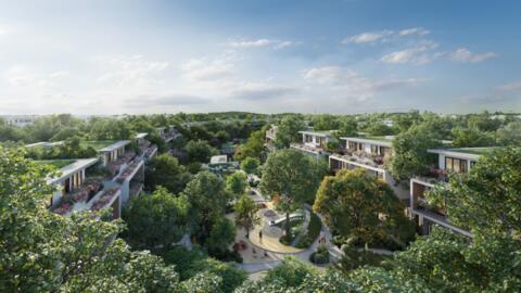 Blue Forest - Nơi tỷ lệ cây xanh gấp 3 lần tiêu chuẩn LHQ