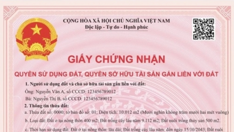 Từ 1/8, có 9 trường hợp được cấp đổi sổ đỏ