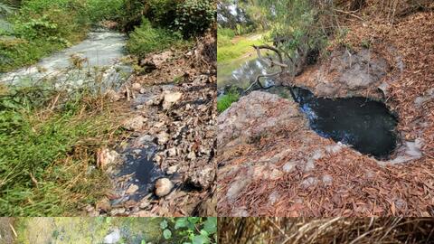 Công ty Thiện Hưng tiếp tục “đầu độc” môi trường?