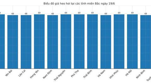 Giá heo hơi hôm nay 19/6/2025: Cao nhất 73.000 đồng/kg