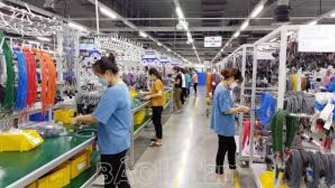  Ngành dây và cáp điện Việt Nam 'tiếp điện' cho tương lai công nghiệp Đông Nam Á