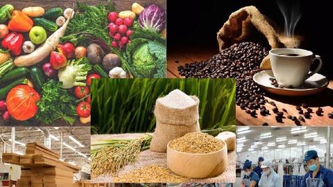 5 năm thực thi EVFTA: Xuất khẩu nông, lâm, thủy sản hưởng lợi lớn