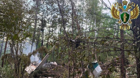 Chủ tịch nước Lương Cường gửi điện thăm hỏi tới Nga sau vụ tai nạn máy bay