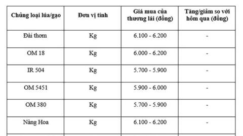 Giá lúa gạo hôm nay ngày 11/8: Gạo nguyên liệu xuất khẩu tăng nhẹ