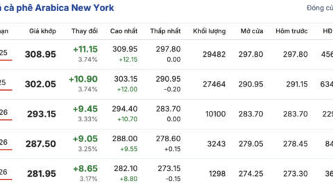 Giá cà phê hôm nay 11/8/2025: Chững lại trong phiên đầu tuần