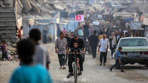 Ai Cập cam kết chung tay chấm dứt chiến sự ở Dải Gaza