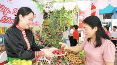 Cục Xúc tiến thương mại: OCOP là khát vọng vươn lên của doanh nghiệp