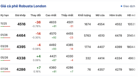 Giá cà phê hôm nay 21/10/2025: Ổn định ở Tây Nguyên