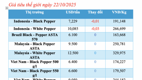 Giá tiêu hôm nay 22/10/2025: Tiếp tục neo cao