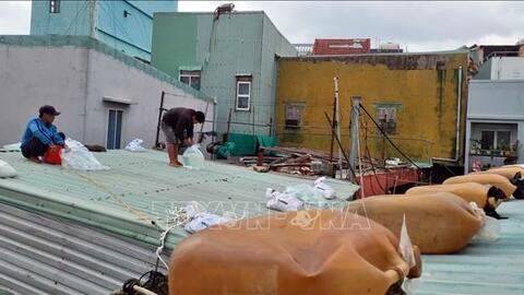 Bão số 15 giảm cấp, suy yếu dần