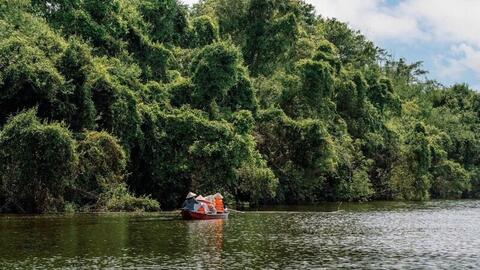 Khu bảo tồn Đồng Tháp Mười - 'trái tim xanh' gìn giữ bản sắc Nam Bộ